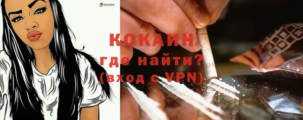 дурь Гусев