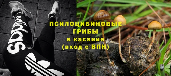 сатива Дмитров