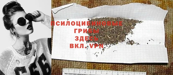 сатива Дмитров