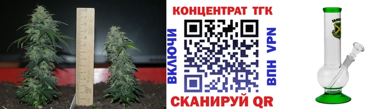 Купить где  Ковдор  ТГК жижа 